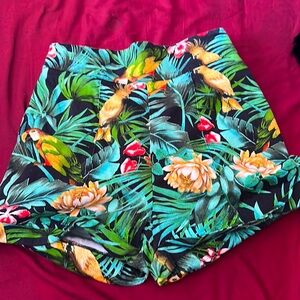 Tropical Birds high waisted Shorts
